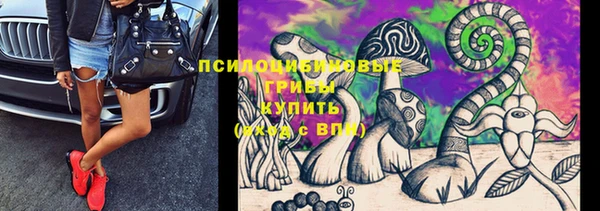 круглые Аркадак