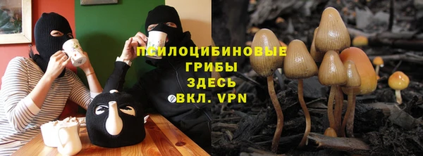 круглые Аркадак
