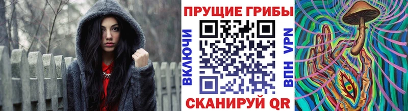 Псилоцибиновые грибы GOLDEN TEACHER Барабинск