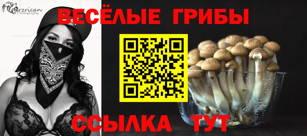 Псилоцибиновые грибы мухоморы  Псилоцибиновые грибы прущие грибы  Вход с VPN  Барабинск 